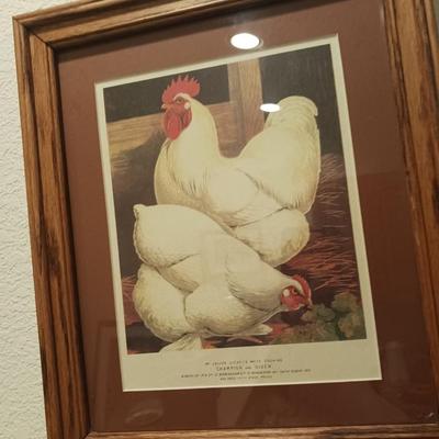 2 FRAMED PICTURES OF ROOSTERS