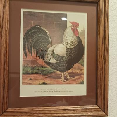 2 FRAMED PICTURES OF ROOSTERS
