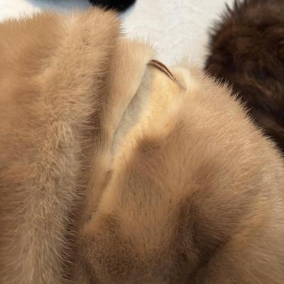 LOT 104: Fur/Mink Stole Collection: Ritter Bros., New York & Penn-Fifth Avenue, New York