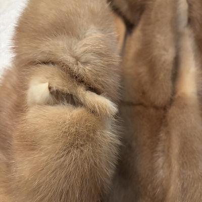 LOT 104: Fur/Mink Stole Collection: Ritter Bros., New York & Penn-Fifth Avenue, New York