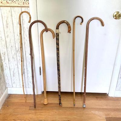 LOT 177: Brass Cane / Umbrella Holder with Collection of Wooden Canes