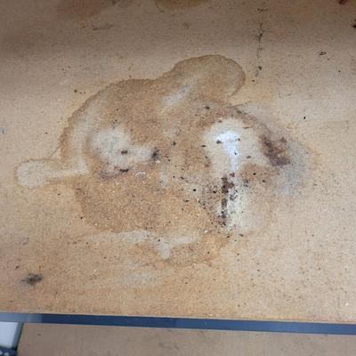 Adjustable Metal and Wood Shelves (G-EL)