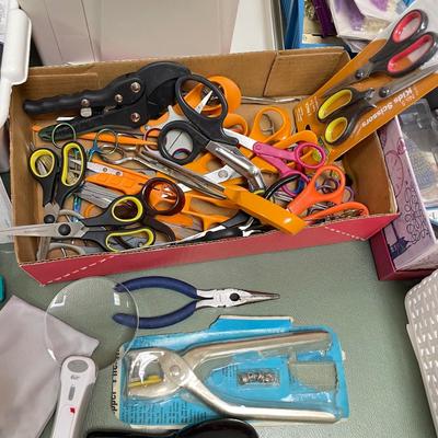 Sewing Notions & Case (BO-SS)
