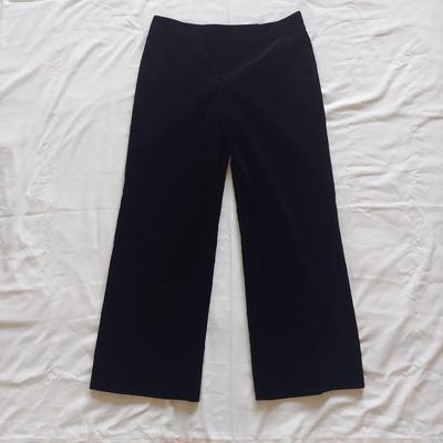 Size 14 Dress Pants Inc. NWT by Ralph Lauren & More (PC-BBL)