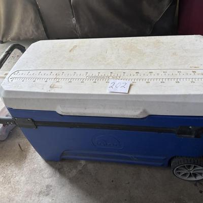 Igloo Cooler
