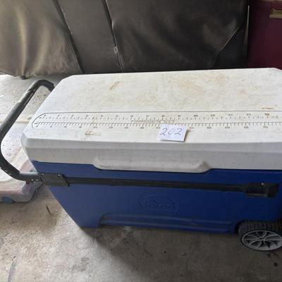 Igloo Cooler