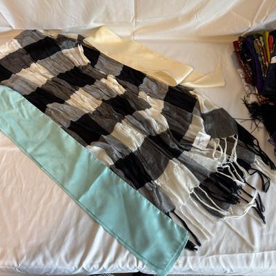 Collection of Light Weight Scarves (PC-BM)
