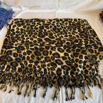 Collection of Light Weight Scarves (PC-BM)