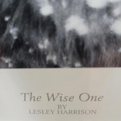 The Wise One