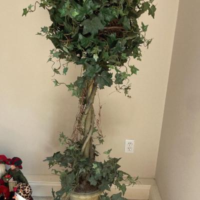 Beautiful tall topiary in urn