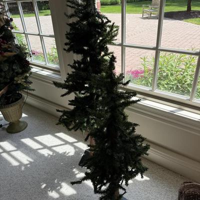 Holiday pine trees