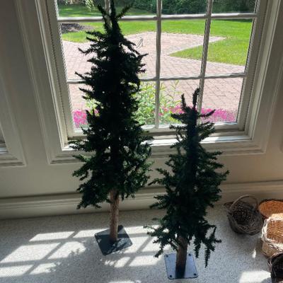Holiday pine trees