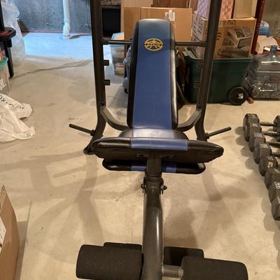 Marcy Weight bench and weights, 300 pounds of weights and two long bars