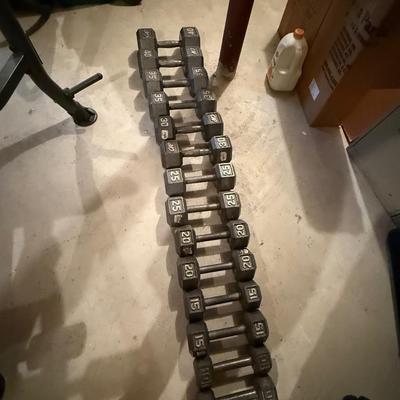 Set of dumbbells 10 to 40 pounds