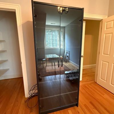 Black cabinet with glass doors and shelves