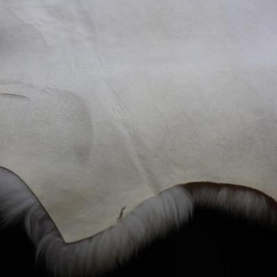 Authentic Argentinian Sheepskin Rug Or Throw