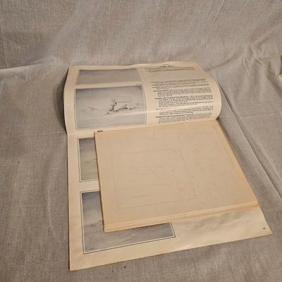 Acrylic Paint, Artist Supplies & More (BO-JS)