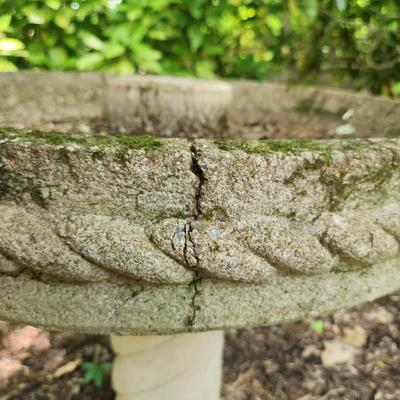 Concrete Bird Bath