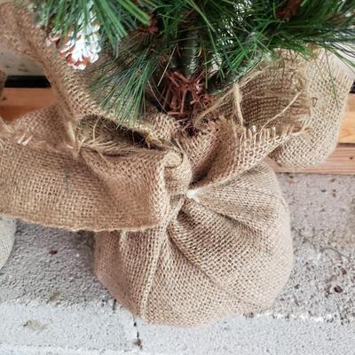 Small Decorative Fiber Optic & More Christmas Trees and Garland (G-KD)