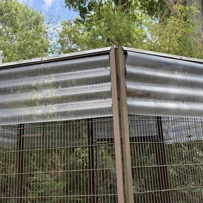 Giant Bird Cage - Project Piece