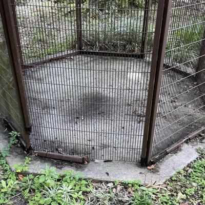 Giant Bird Cage - Project Piece
