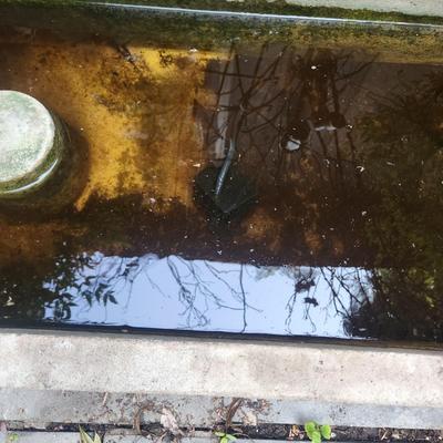 Very Heavy Garden Water Pond Trough with Working Pump