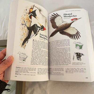 Sears Binoculars & Birding (LR-SS)