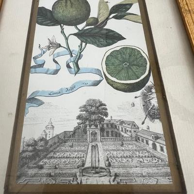 Antique Vintage Decor Lot