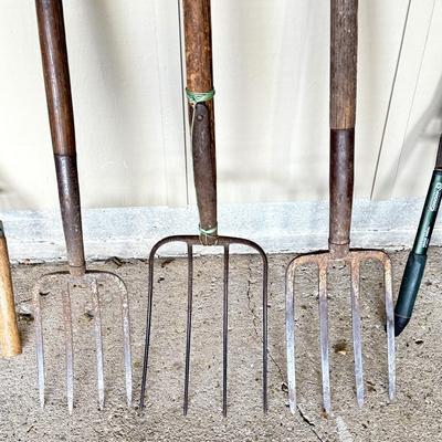 Yard Tool Lot - Shears, Pitch Forks, Axes, Sledge Hammer