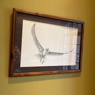 Seagull artwork