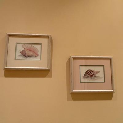 Four pretty seashell prints