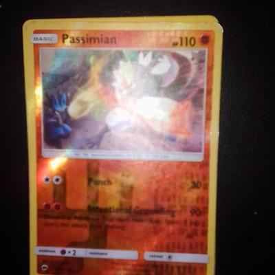 Pokemon holo