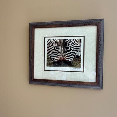 Signed Zebra photograph