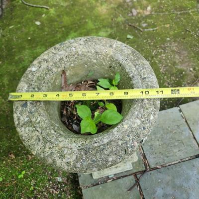 Pair Concrete Urn Planters Vases w Bases