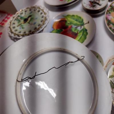 Collection of Decorative Plates- Assorted Makers
