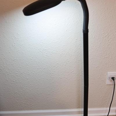 Adjustable Floor Lamp