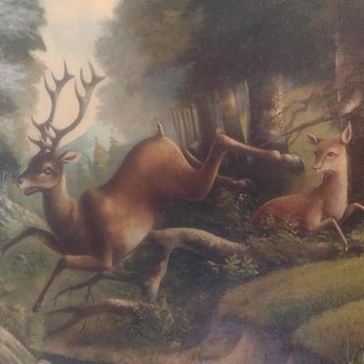 Francis A. Cerny Original Oil on Canvas Stag and Doe Circa 1890 Framed