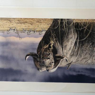 African Buffalo Print