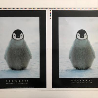 B-R-R-R-R-R-R! Konrad Wothe Double Penguin Print Poster