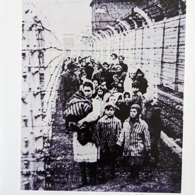 Holocaust Survivor Eva Mozes Kor signed picture