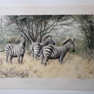 A Dazzle of Zebras Print