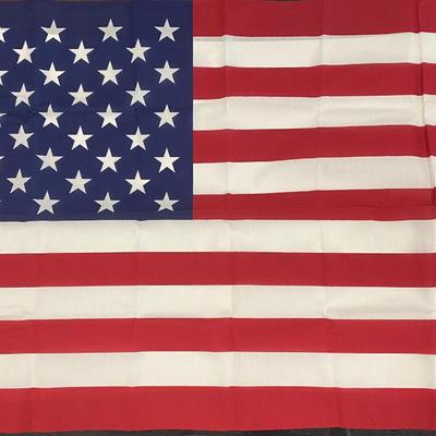 Vintage Sentinel U.S Flag