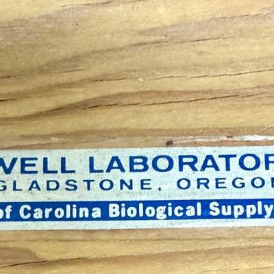 Vintage Wooden Biologic Botany Herbarium Plant Field Press by Powell Laboratories