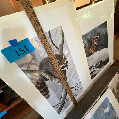 Lot 151 Lot of wildlife prints