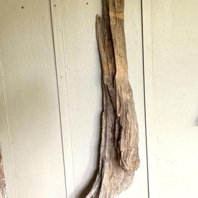 Large Driftwood Piece