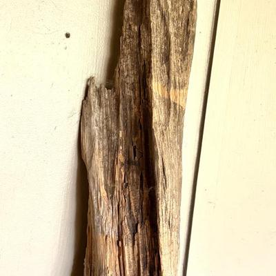 Large Driftwood Piece