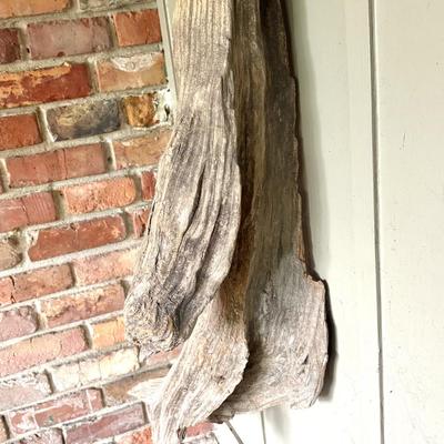 Large Driftwood Piece