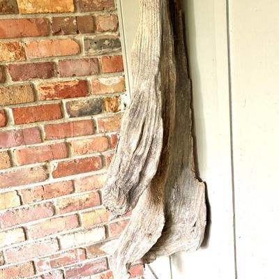 Large Driftwood Piece