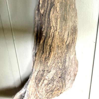Large Driftwood Piece