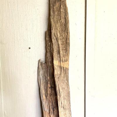 Large Driftwood Piece